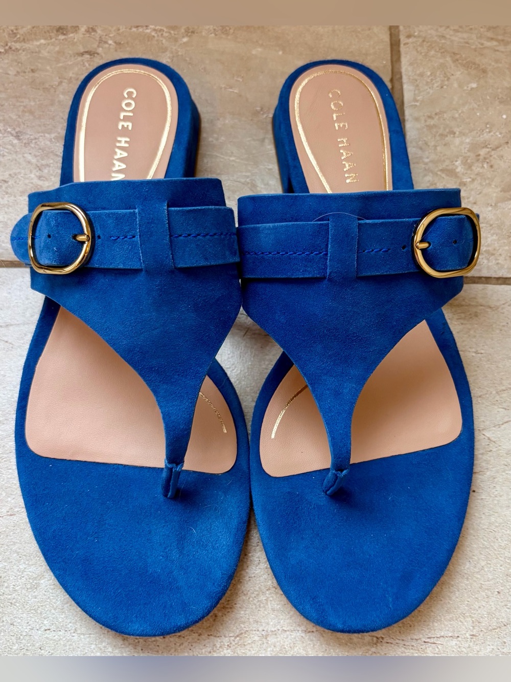 Cole Haan Blue “Suede-like” Buckle Thong Sandals. Size 8.5.